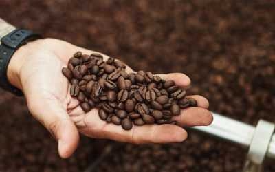 Beyond the Blend: Why Single-Origin Matters